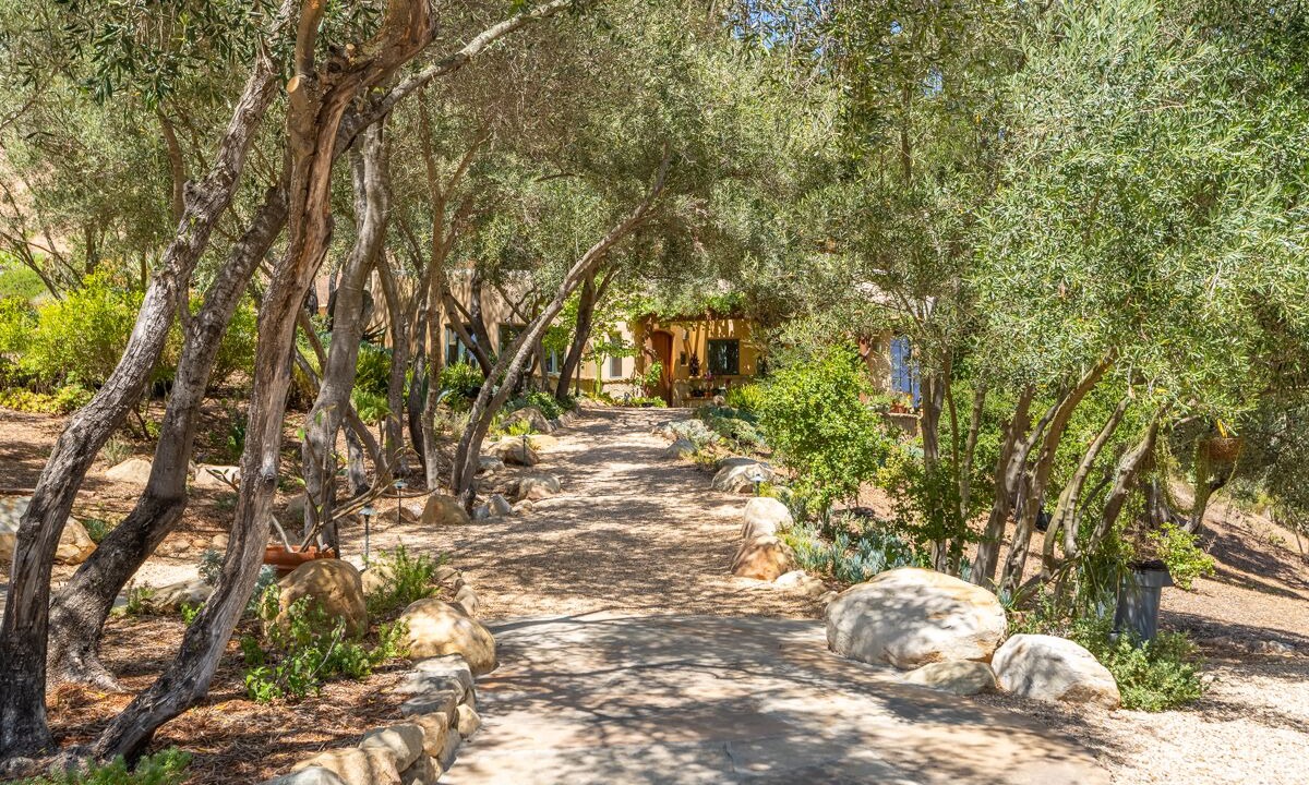 Photo of Outdoor in Mission Canyon