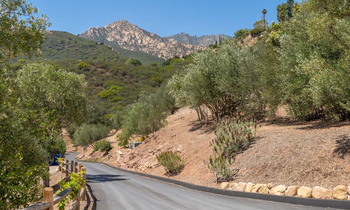 Photo of Outdoor in Mission Canyon
