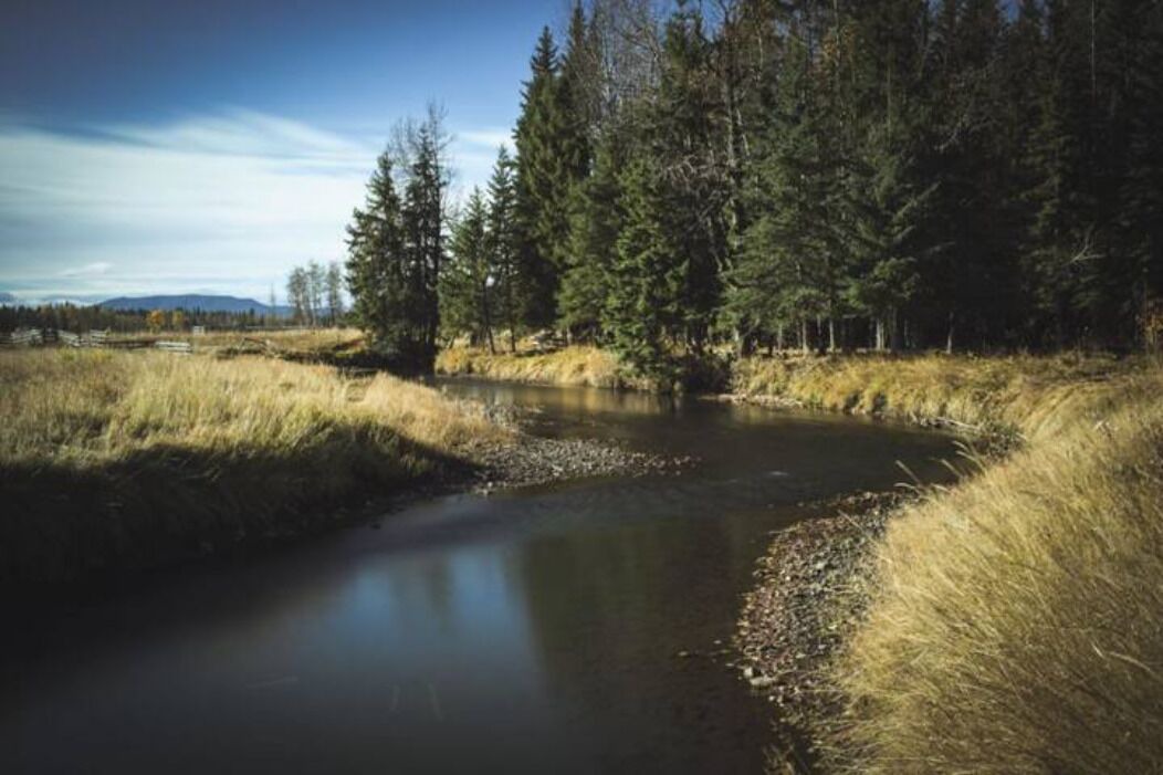 Photo of Others in Clearwater County