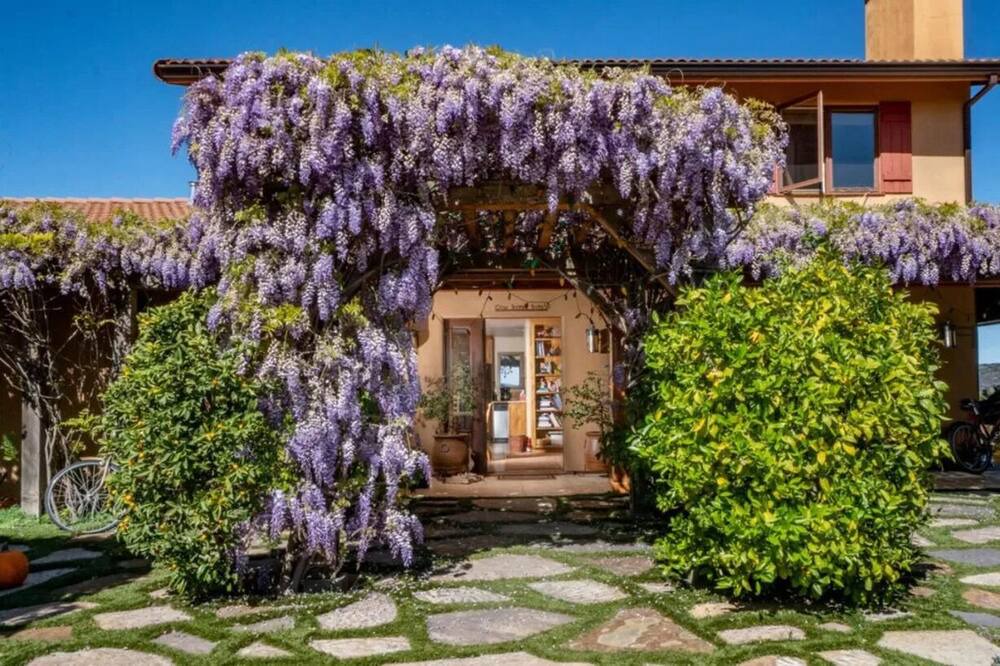 Photo of Outdoor in Carmel Valley