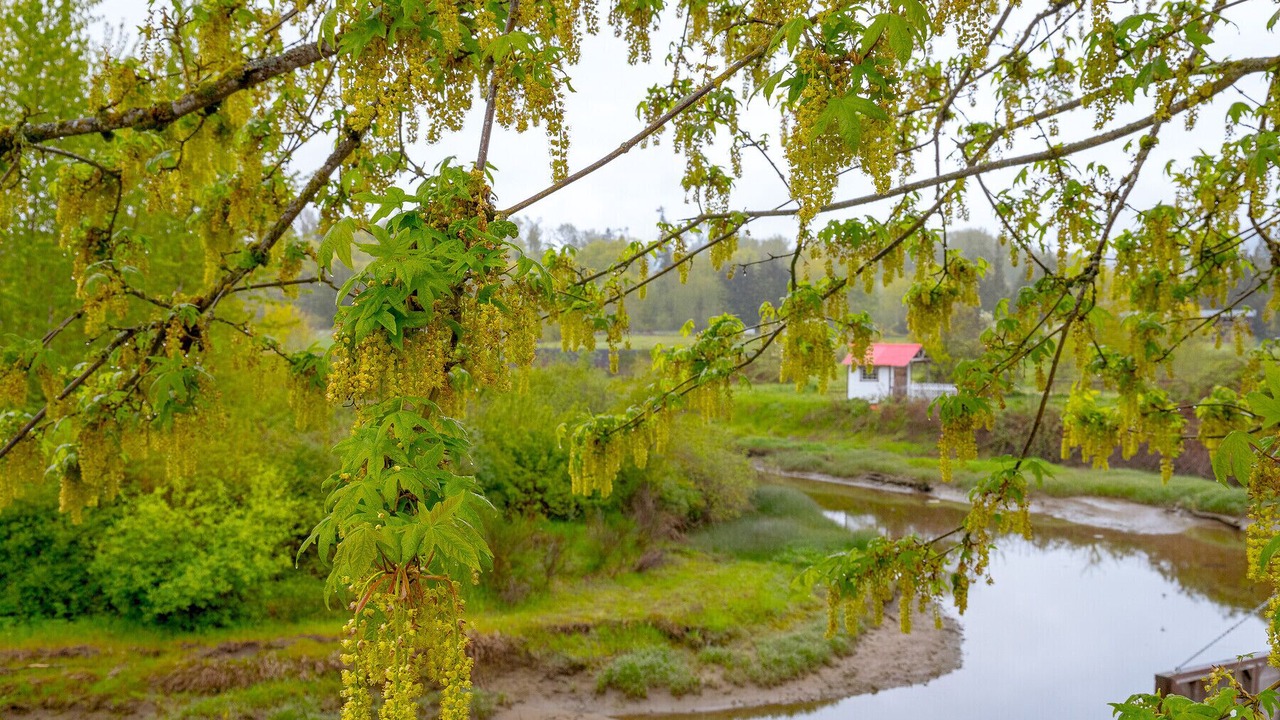 Photo of Outdoor in Cowichan Bay