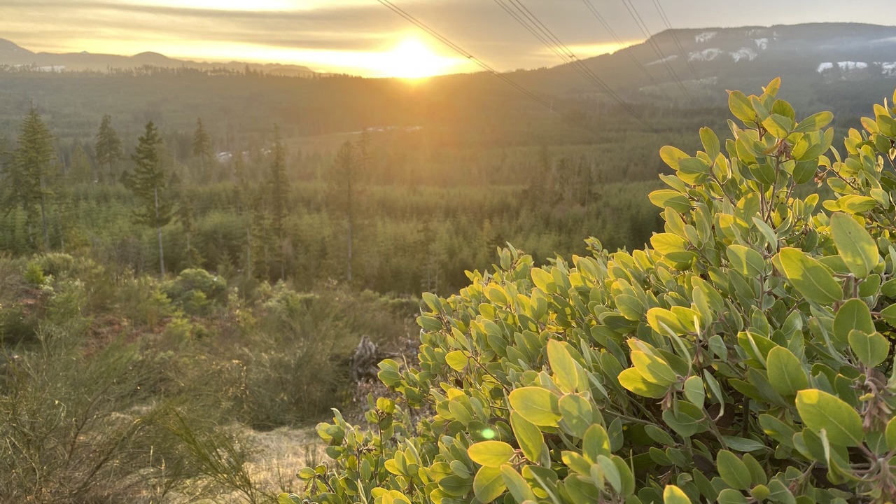 Photo of Outdoor in Regional District of Nanaimo