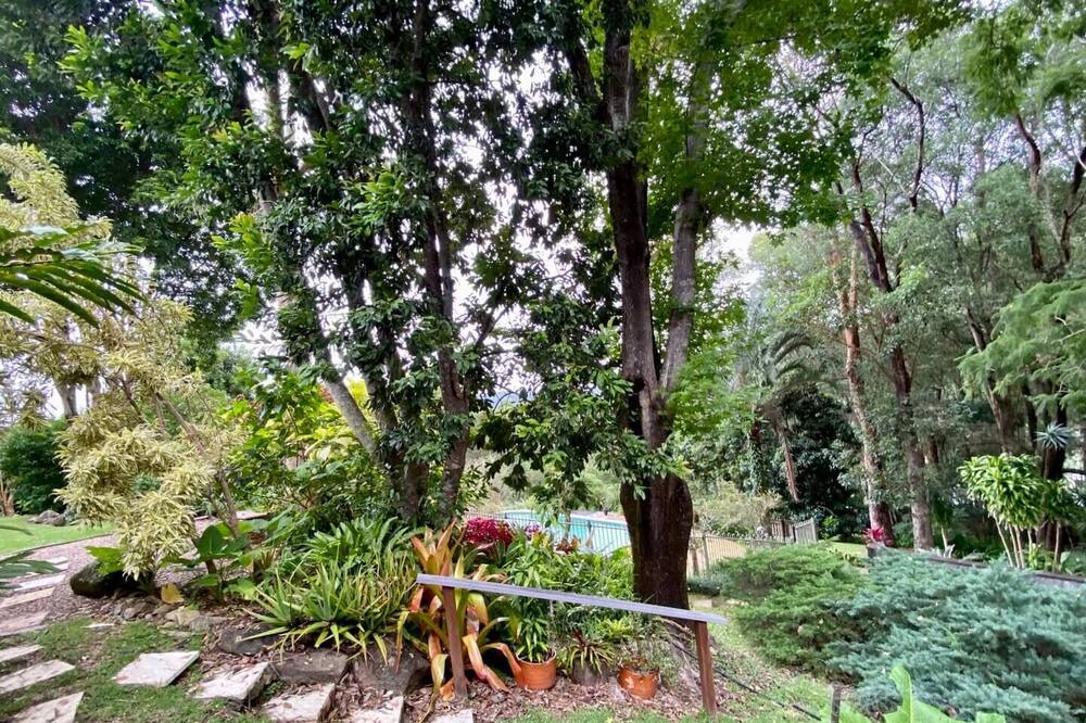 Photo of Outdoor in Currumbin Valley