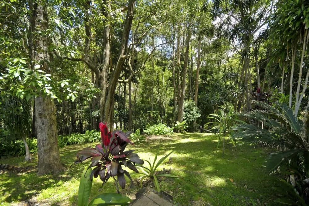 Photo of Outdoor in Currumbin Valley