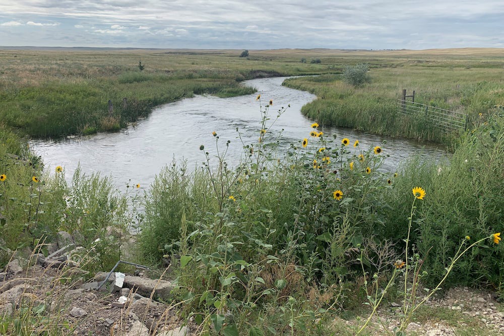 Photo of Outdoor in Marsland