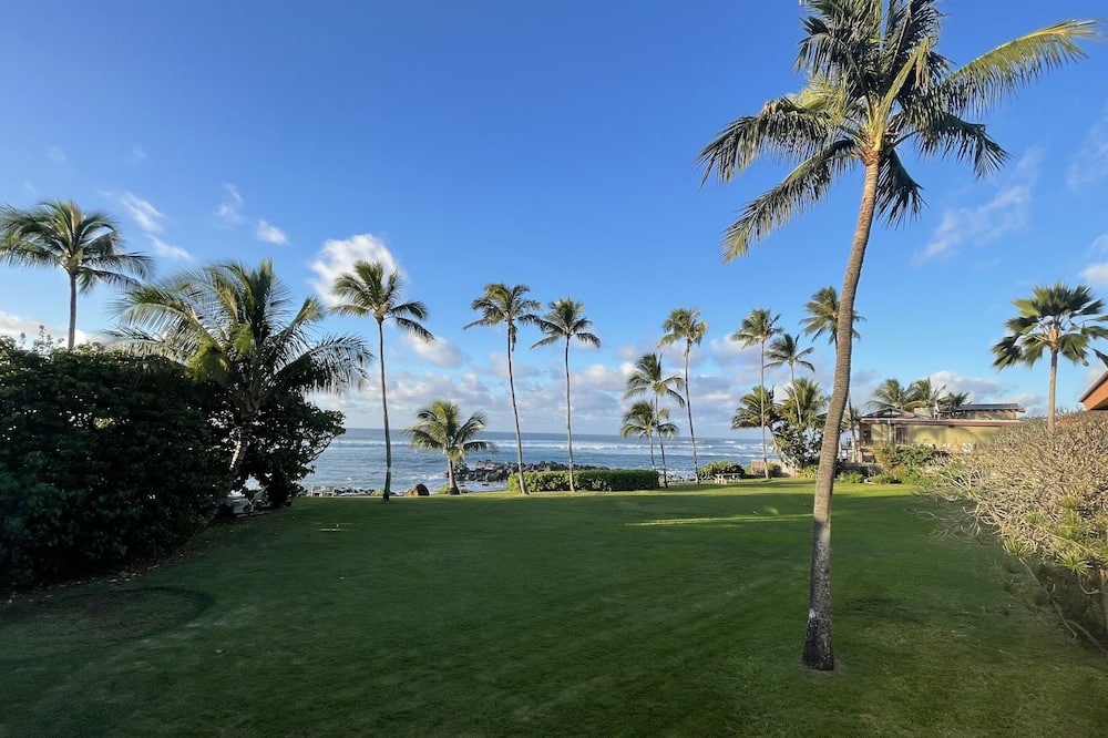 Photo of Others in Haleiwa