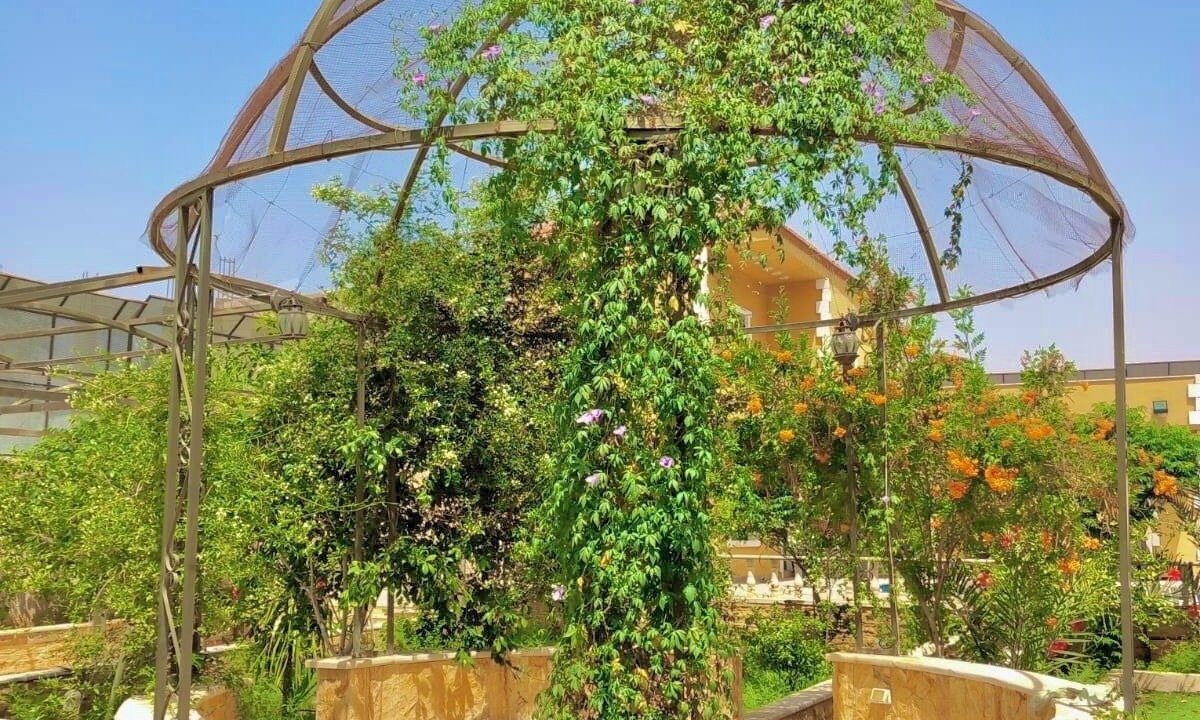 Photo of Outdoor in Al Kafrayn
