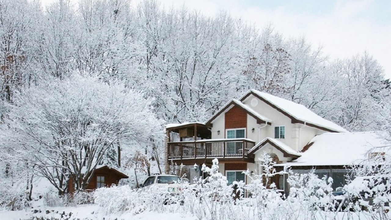 Photo of Others in Yongin