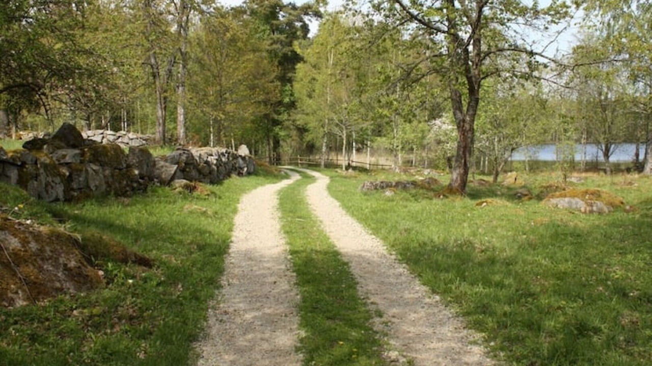 Photo of Outdoor in Tofta
