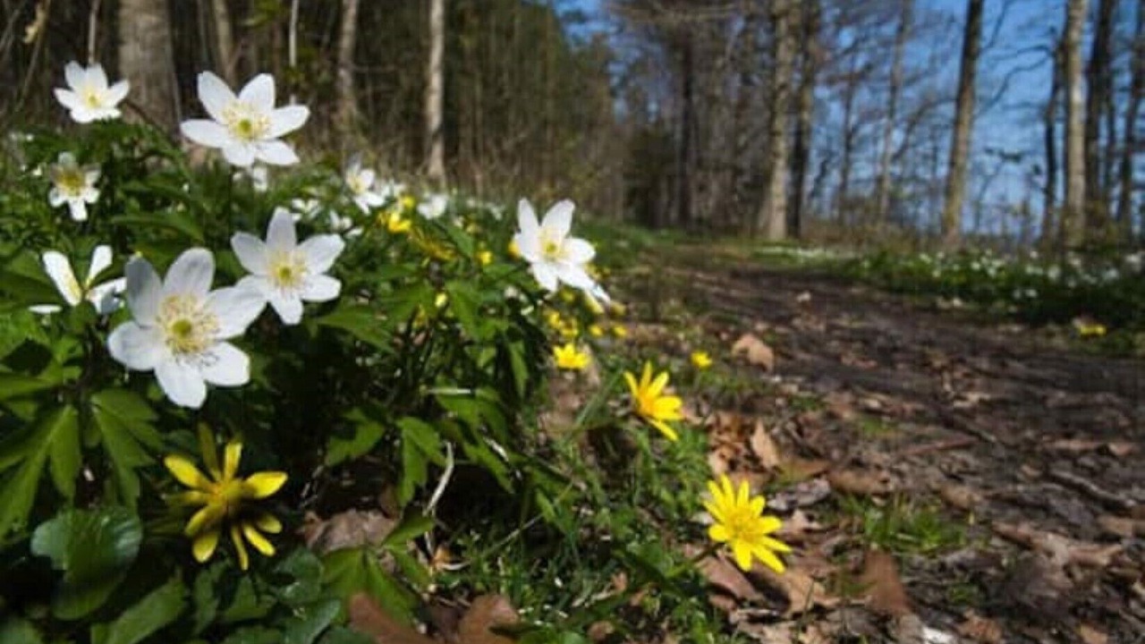 Photo of Outdoor in Tofta