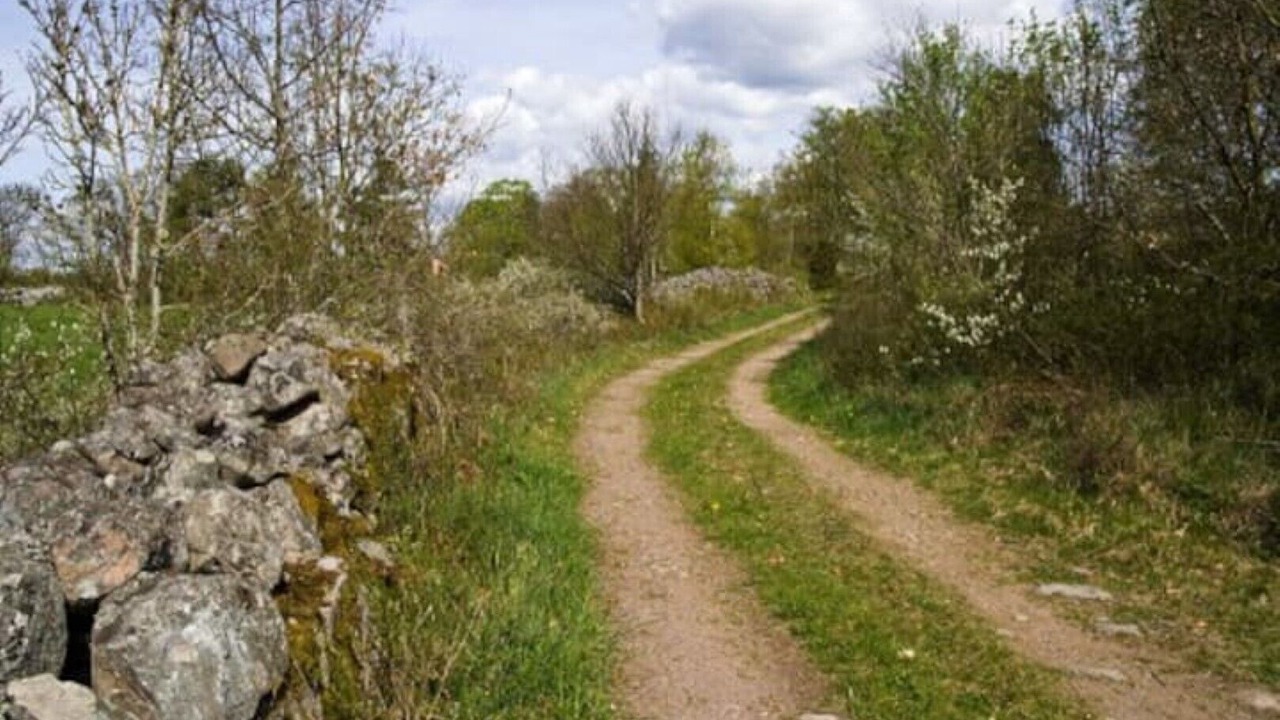 Photo of Outdoor in Tofta