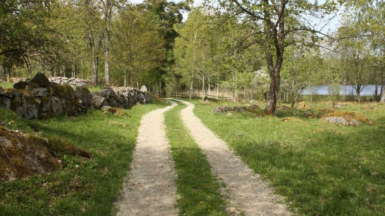 Photo of Outdoor in Tofta