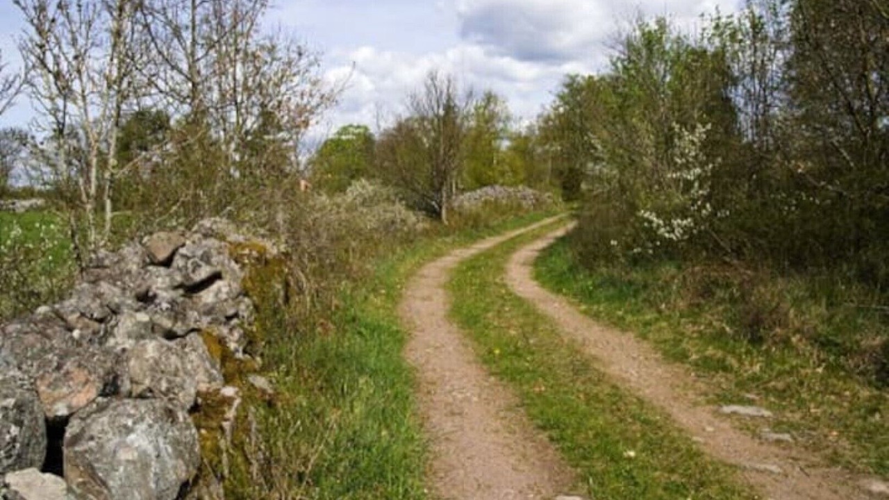 Photo of Outdoor in Tofta