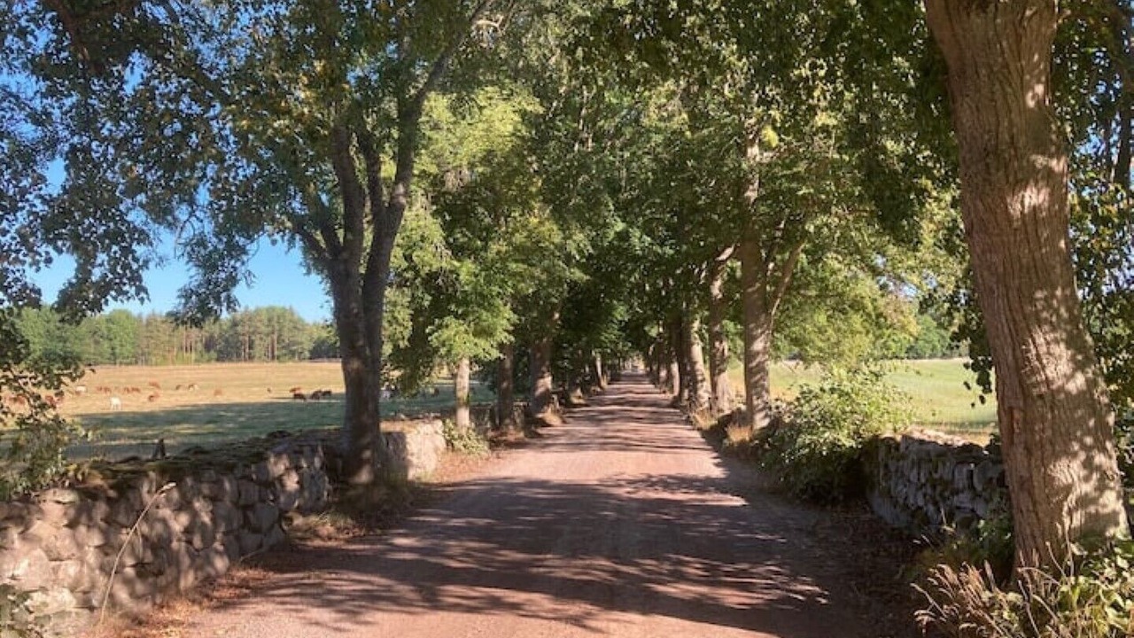 Photo of Outdoor in Tofta