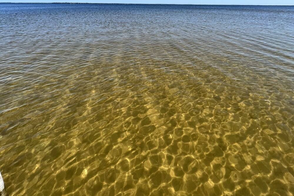 Photo of Others in Houghton Lake Heights