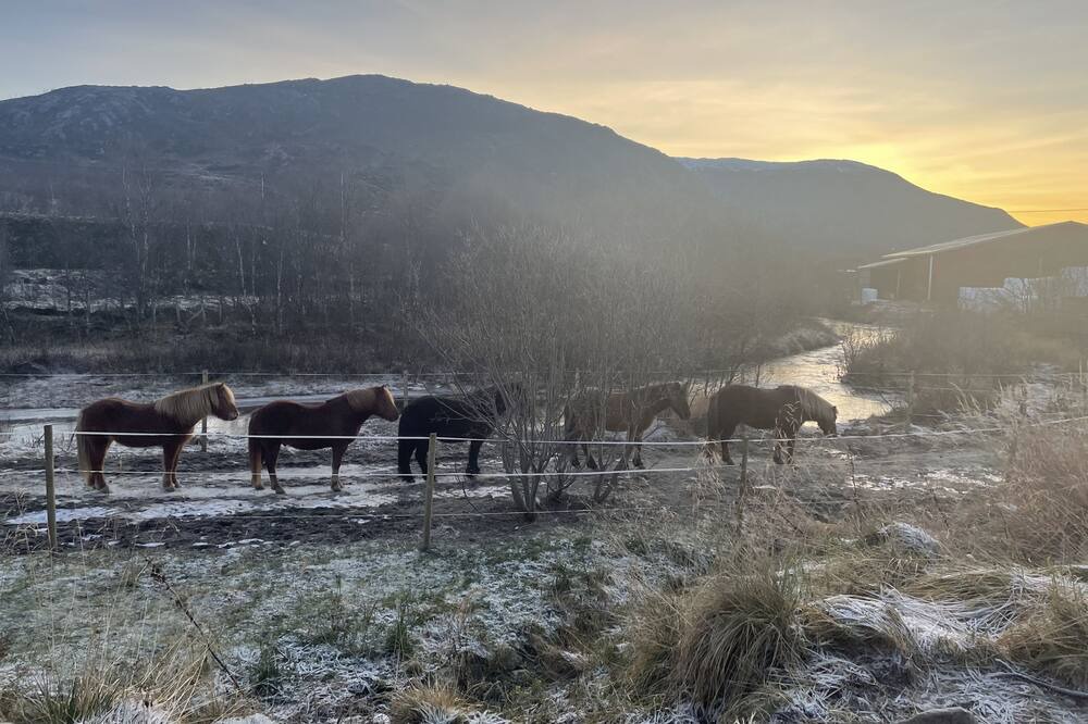Photo of Others in Tromso