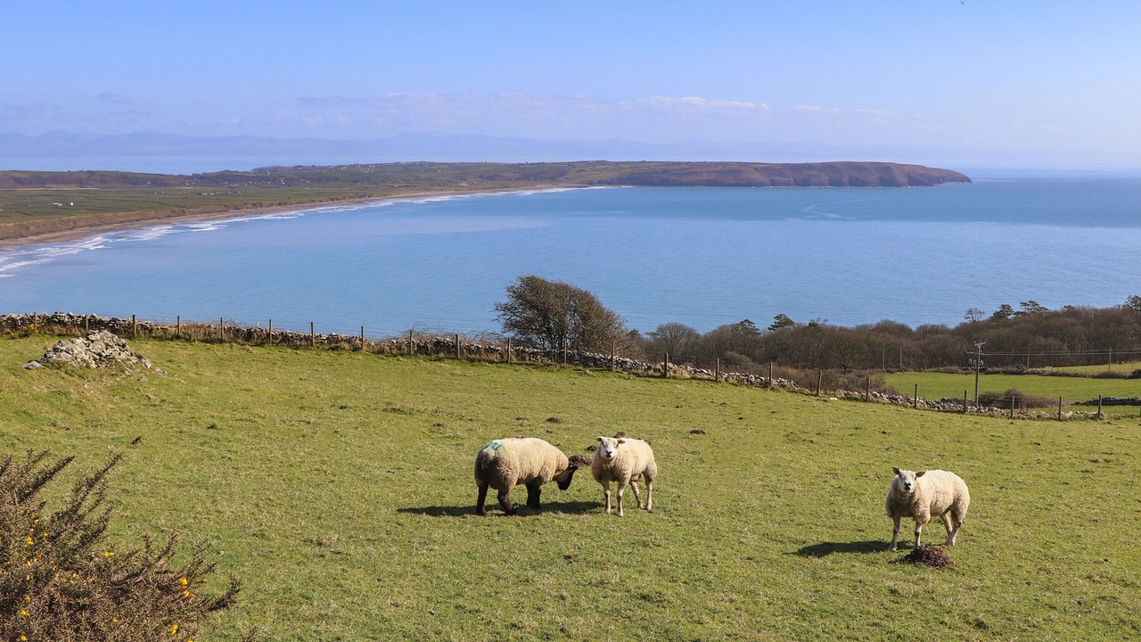 Photo of Others in Aberdaron