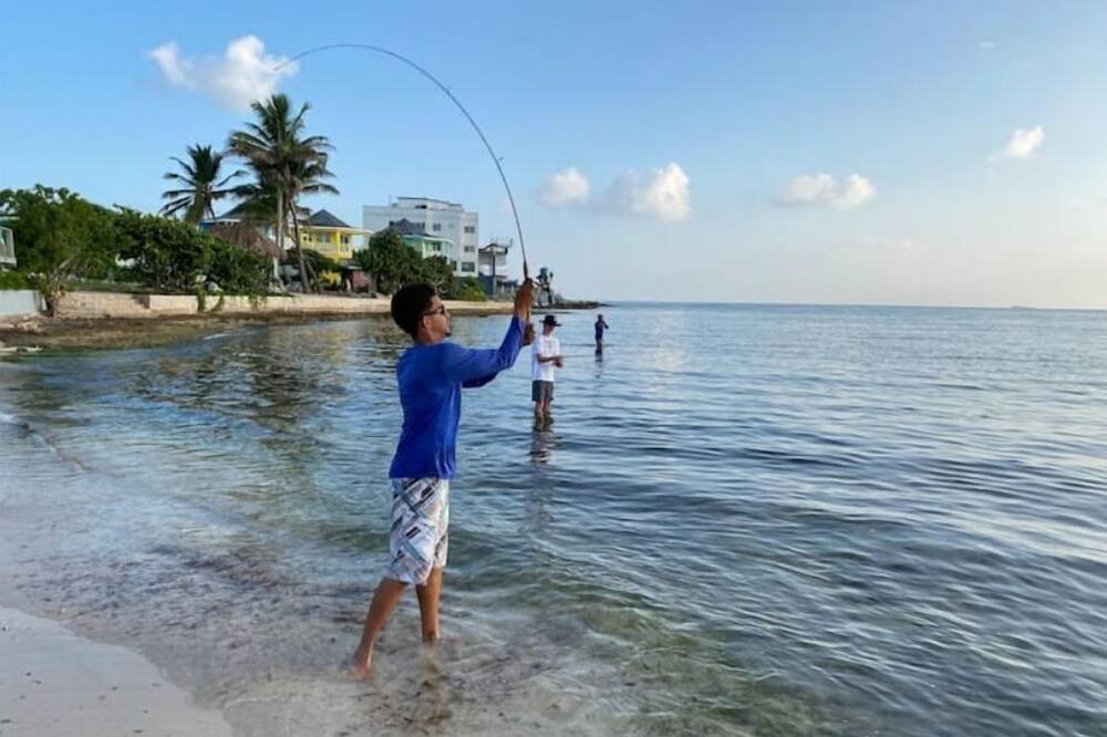 Photo of Others in Island Harbour