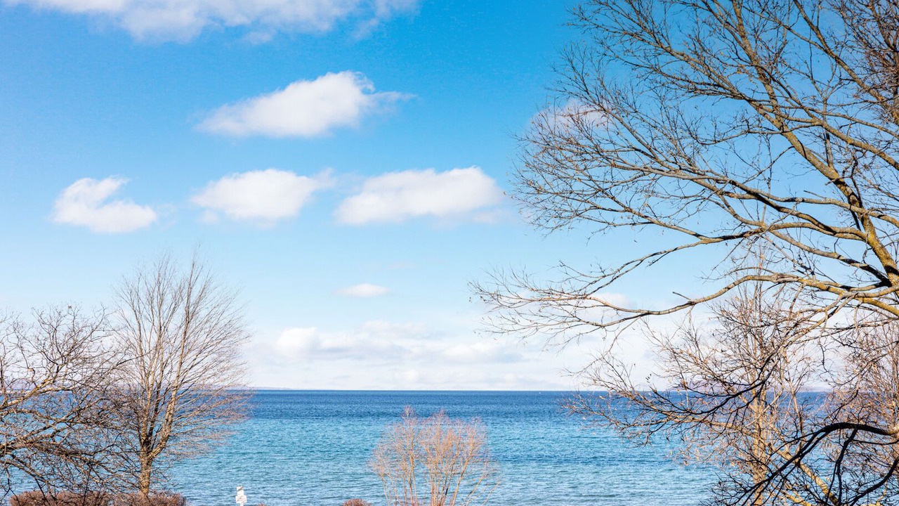 Photo of Others in Traverse City