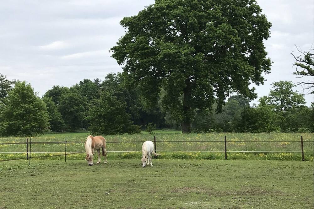 Photo of Outdoor in Balen