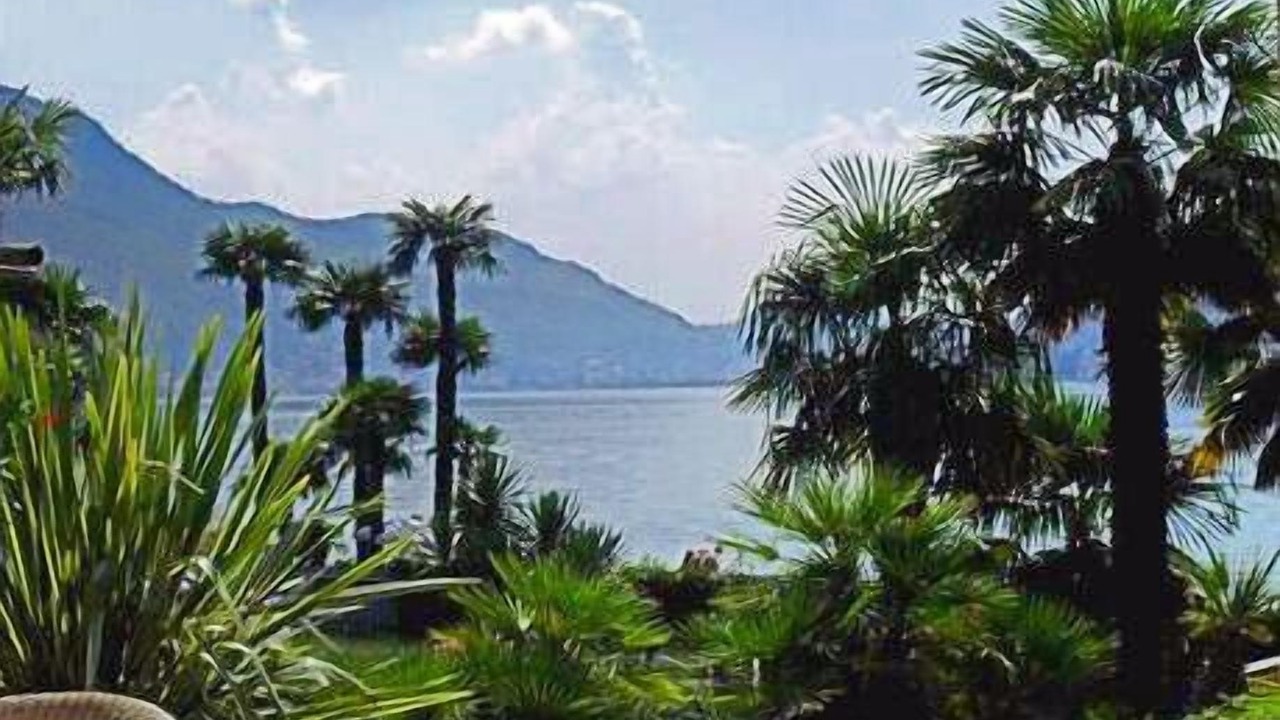 Photo of Outdoor in Morcote