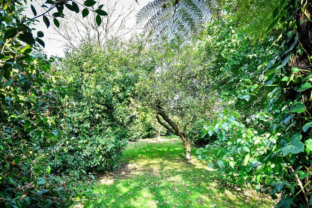 Photo of Outdoor in Bwlchtocyn