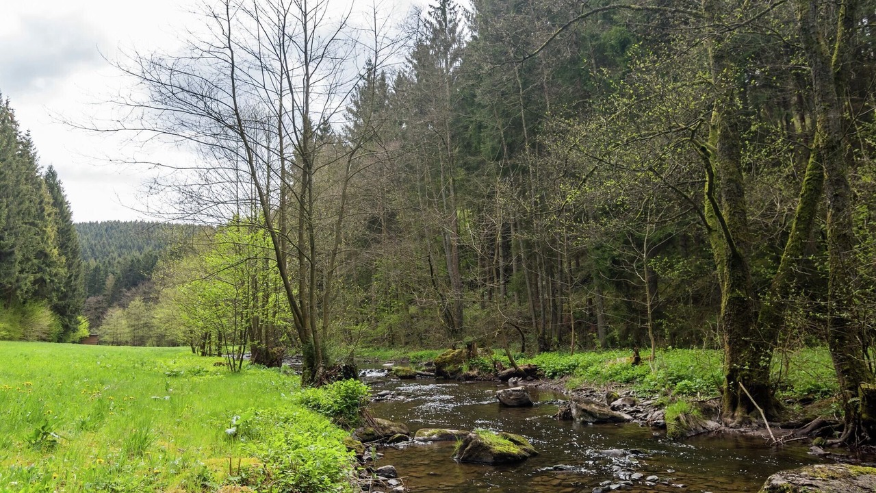 Photo of Outdoor in Vencimont