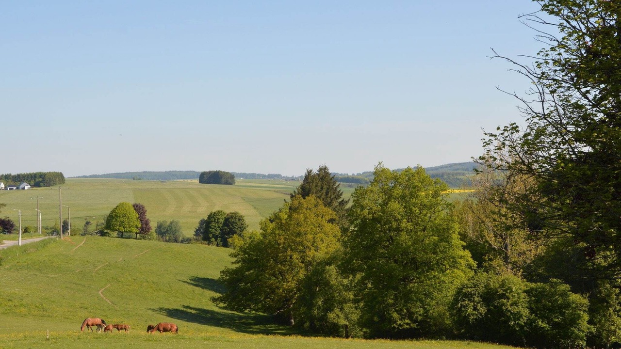 Photo of Outdoor in Vencimont