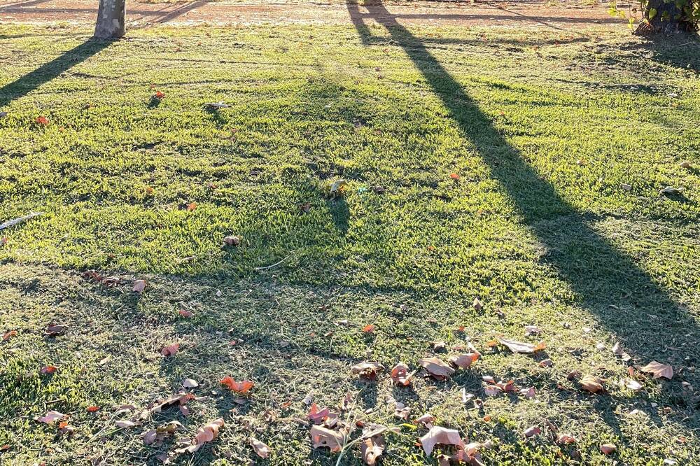 Photo of Outdoor in Perth