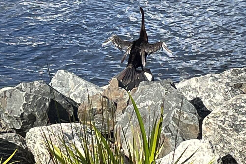 Photo of Others in Perth