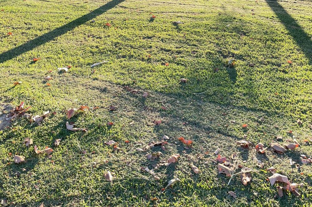 Photo of Outdoor in Perth