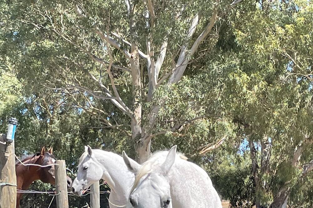 Photo of Others in Perth