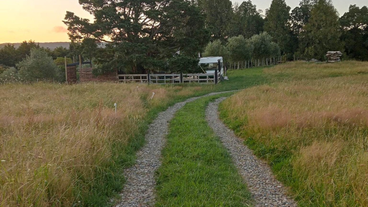 Photo of Others in Waimate North