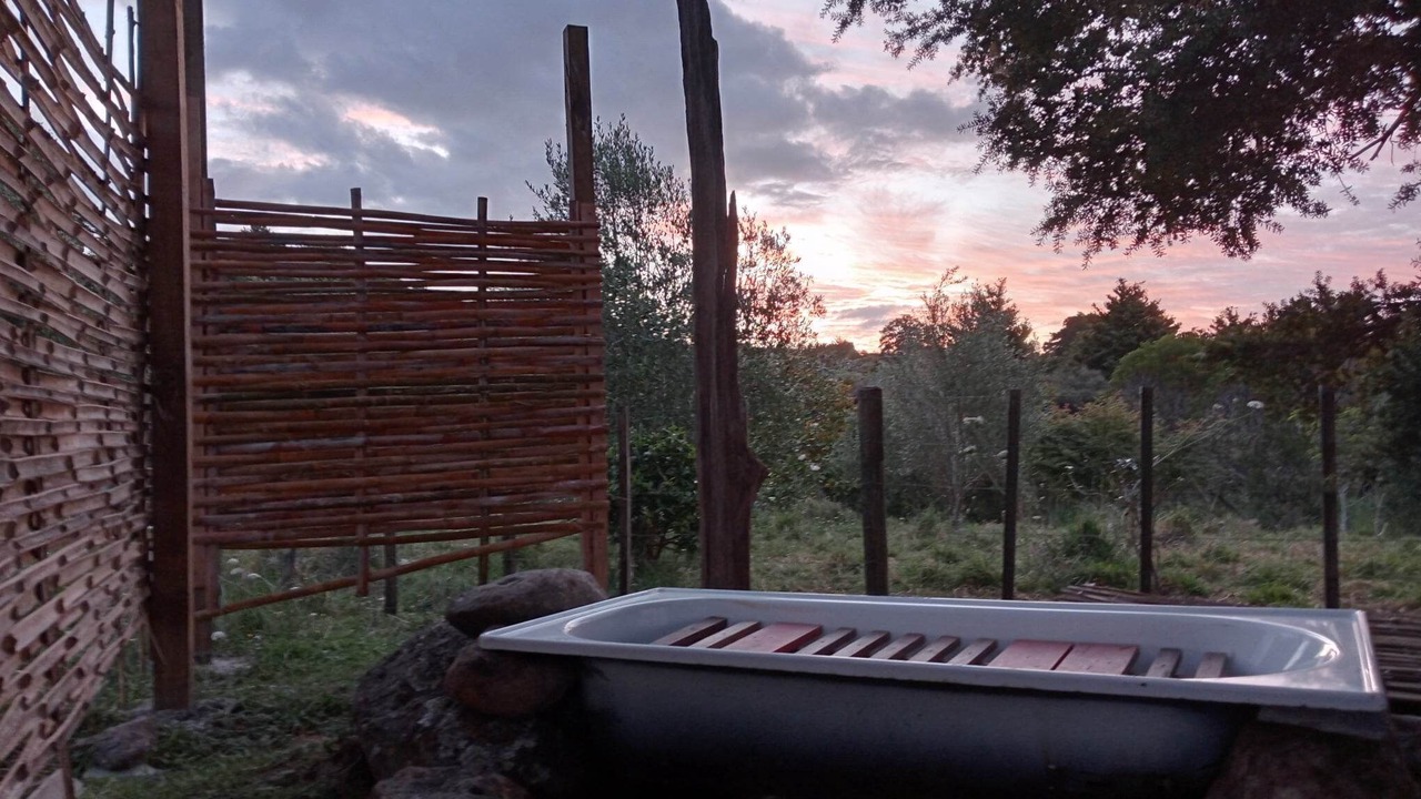 Photo of Outdoor in Waimate North