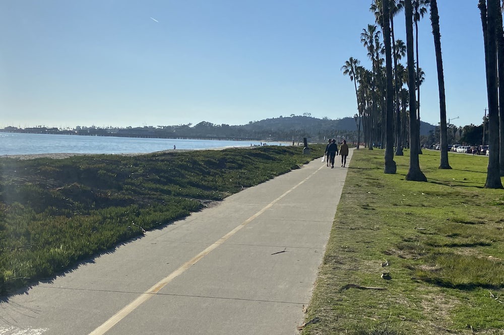 Photo of Others in East Beach