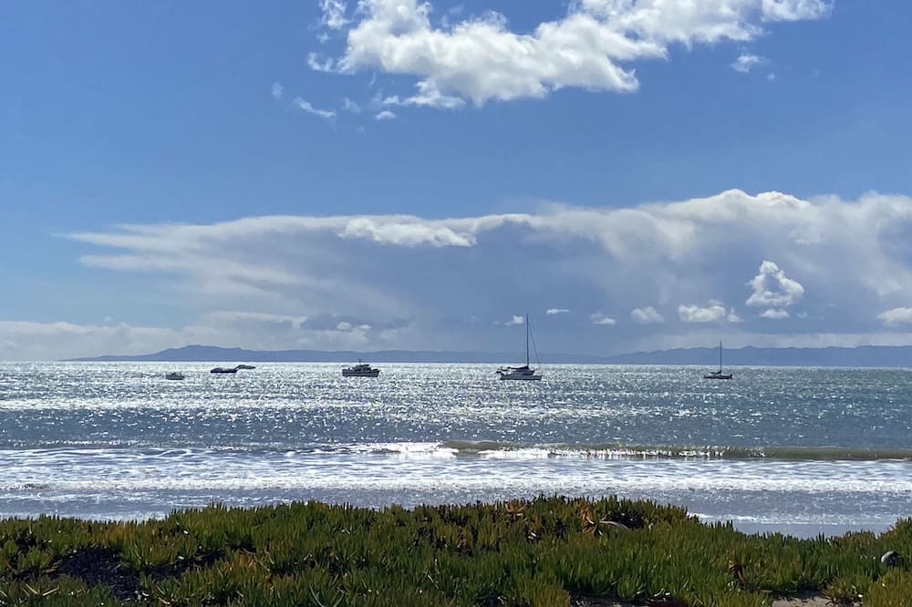 Photo of Others in East Beach