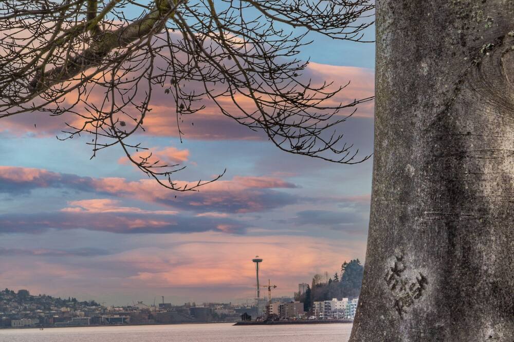 Photo of Outdoor in Alki