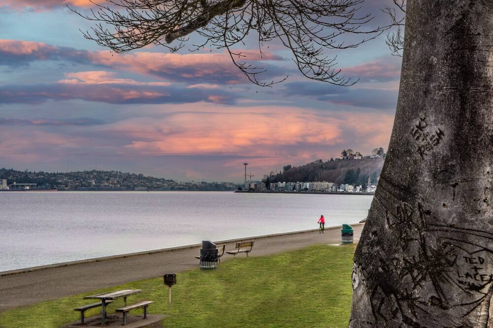 Photo of Others in Alki