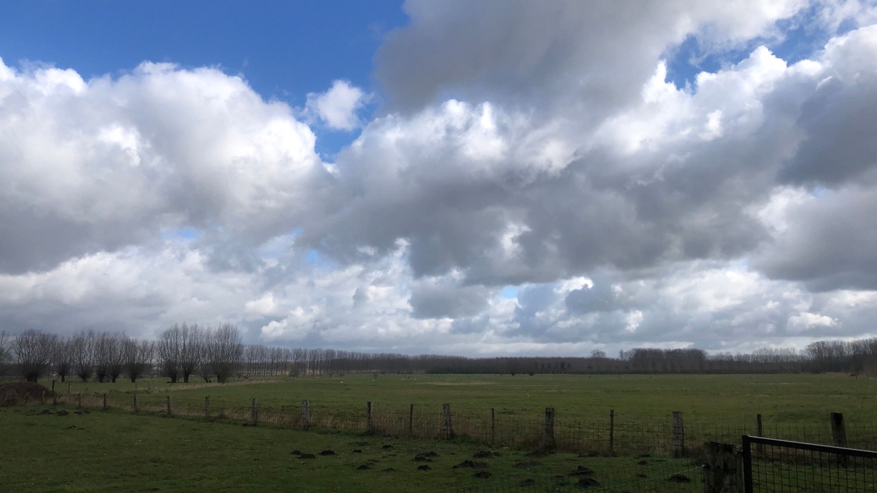 Photo of Others in Wachtebeke