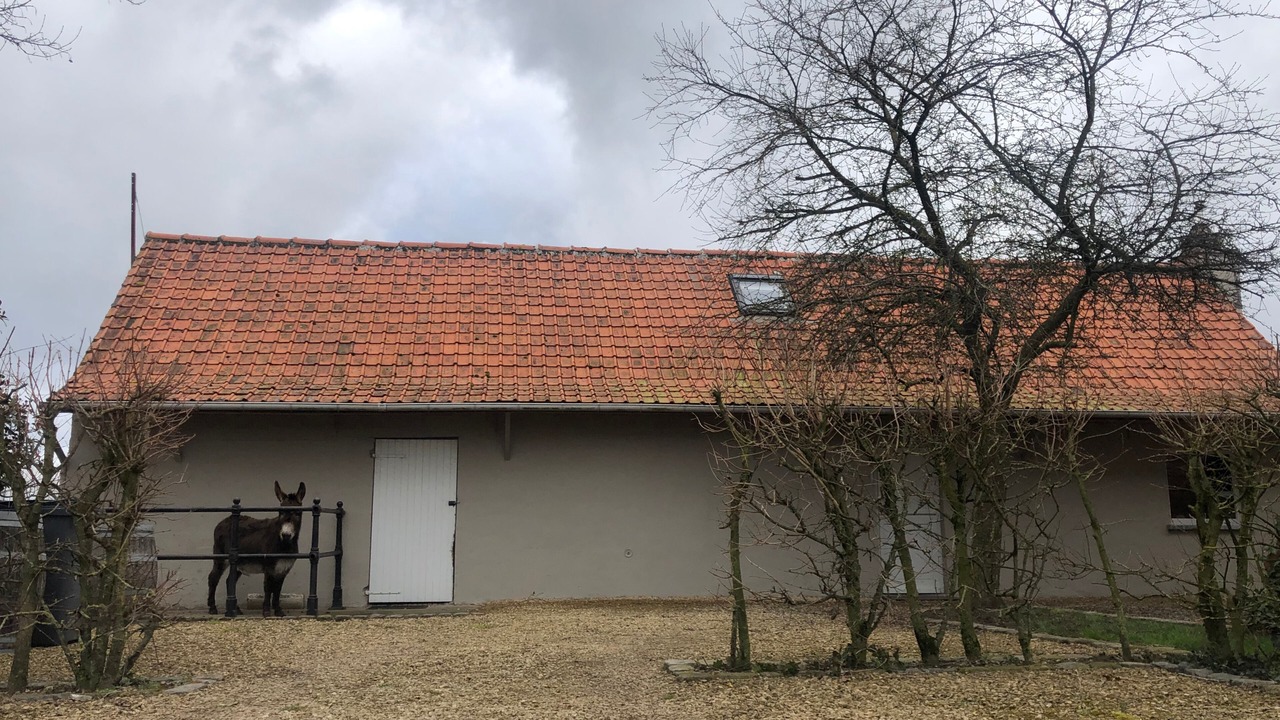 Photo of Outdoor in Wachtebeke