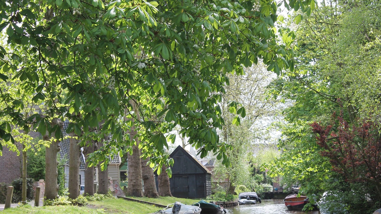 Photo of Others in Monnickendam