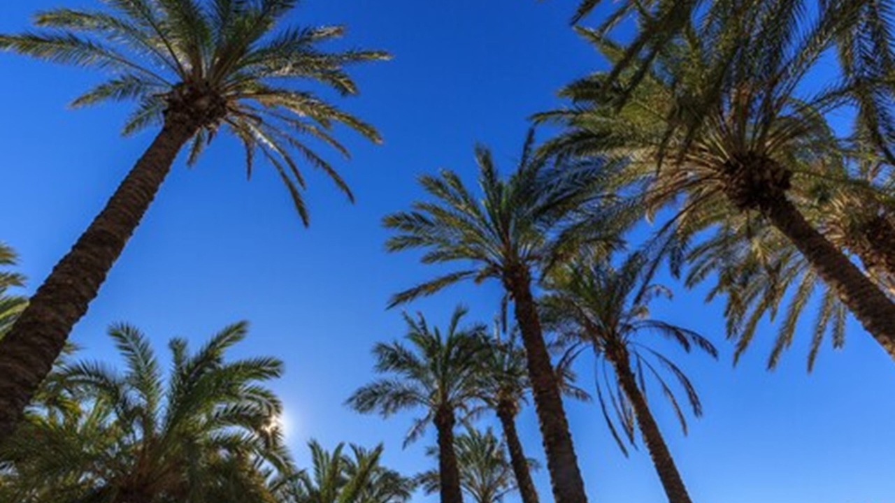 Photo of Outdoor in Torremolinos