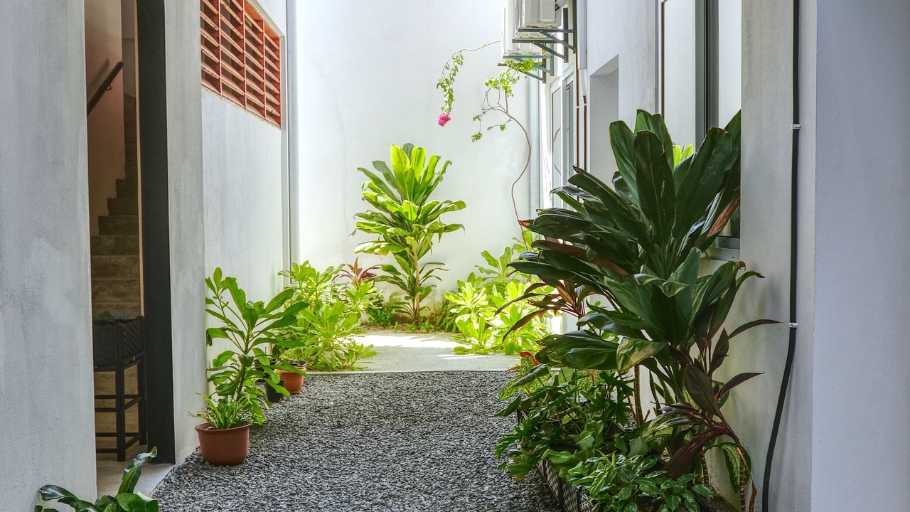 Photo of Outdoor in Maafushi