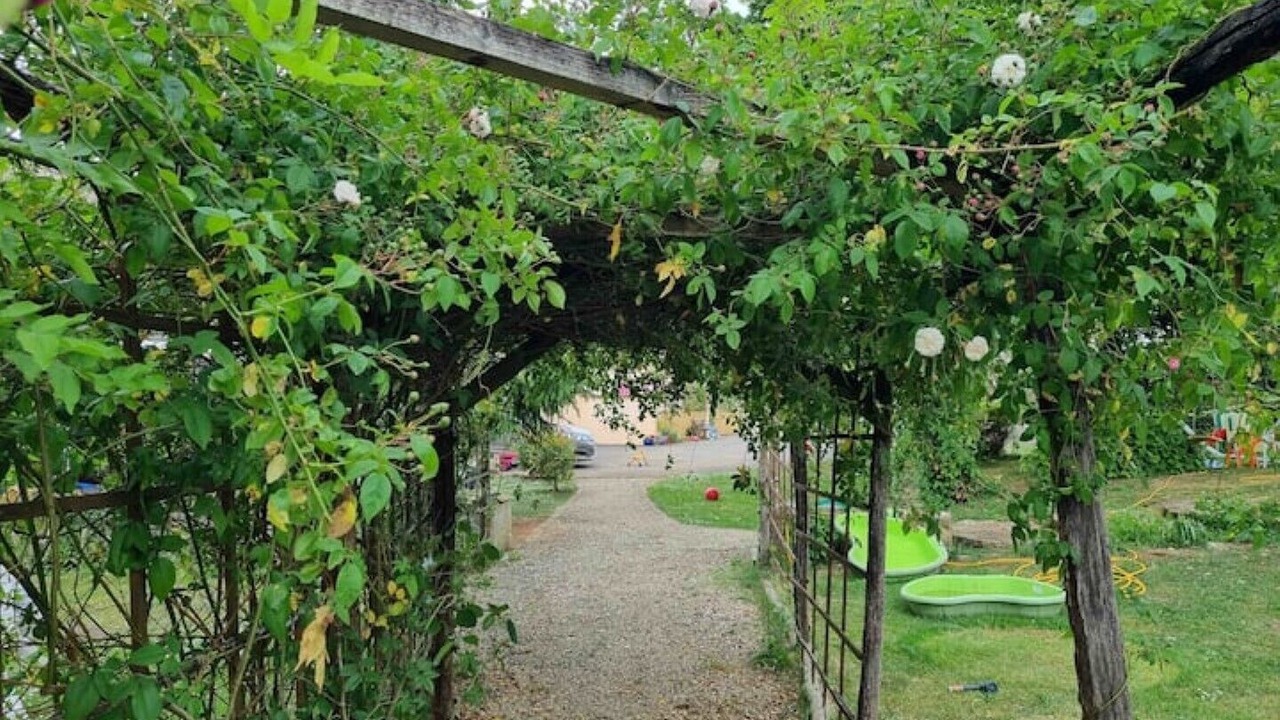 Photo of Outdoor in Paizay-le-Tort
