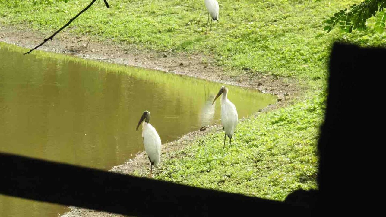 Photo of Outdoor in Santa Elena