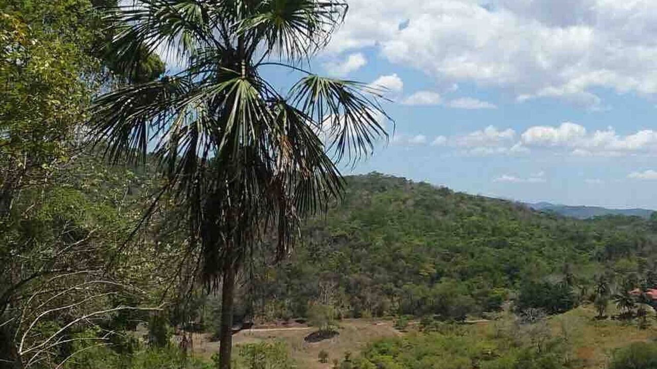 Photo of Outdoor in Santa Elena