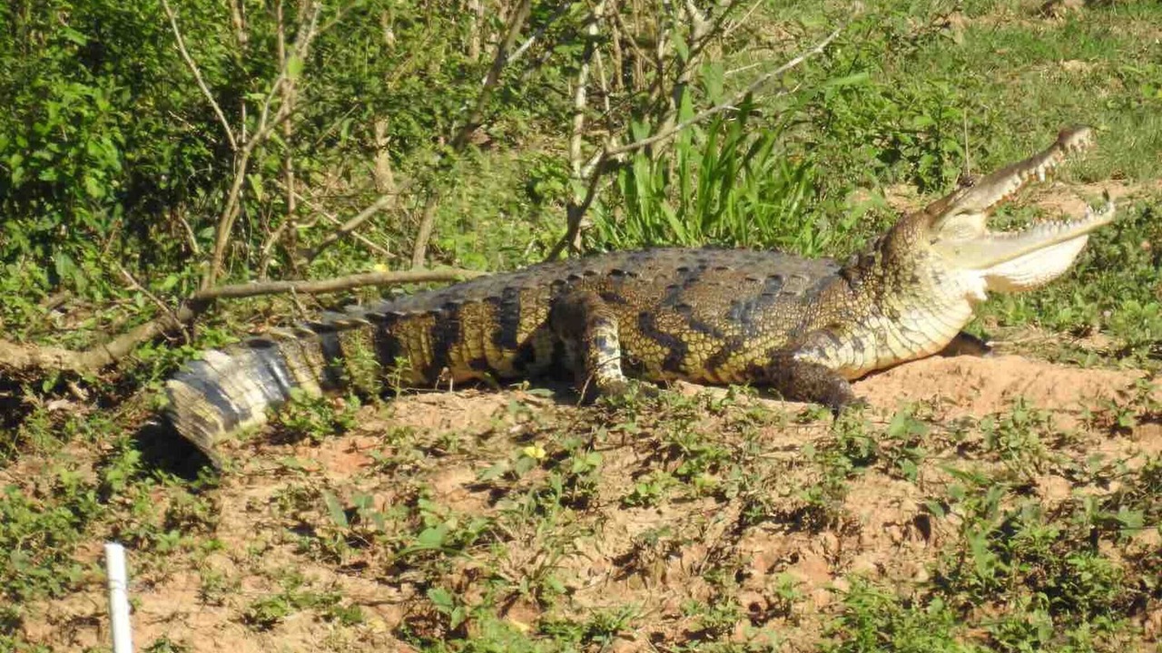Photo of Outdoor in Santa Elena