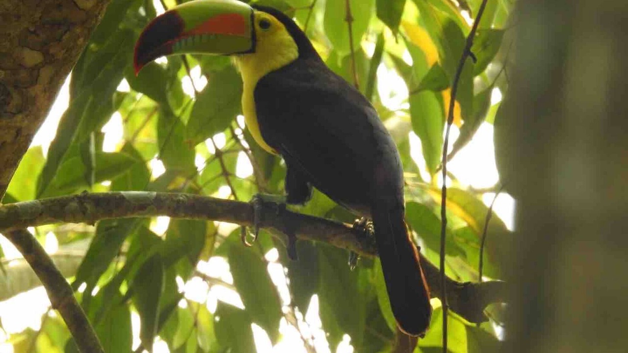 Photo of Outdoor in Santa Elena