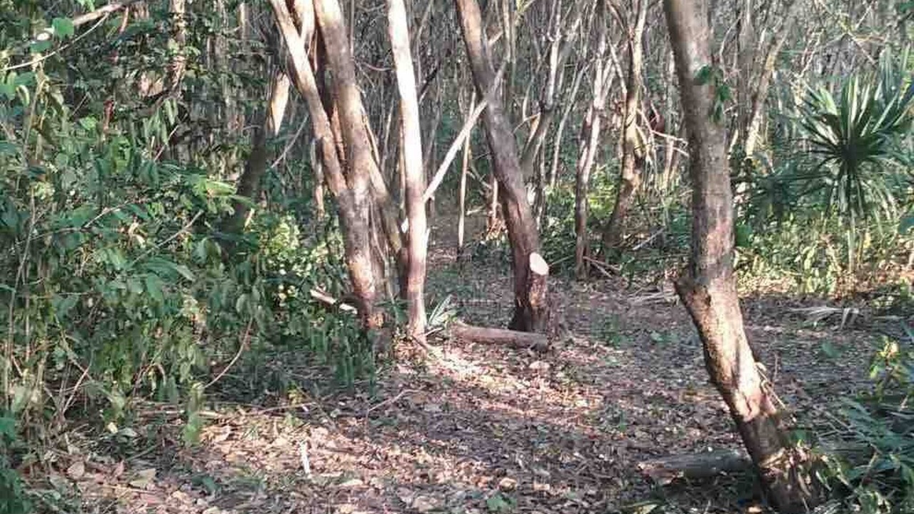 Photo of Outdoor in Santa Elena