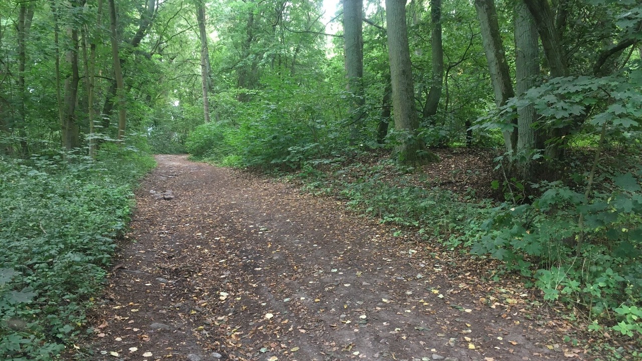 Photo of Outdoor in Leuenberg